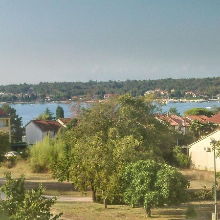 Delfin Lejlighed Novigrad Istria Eksteriør billede